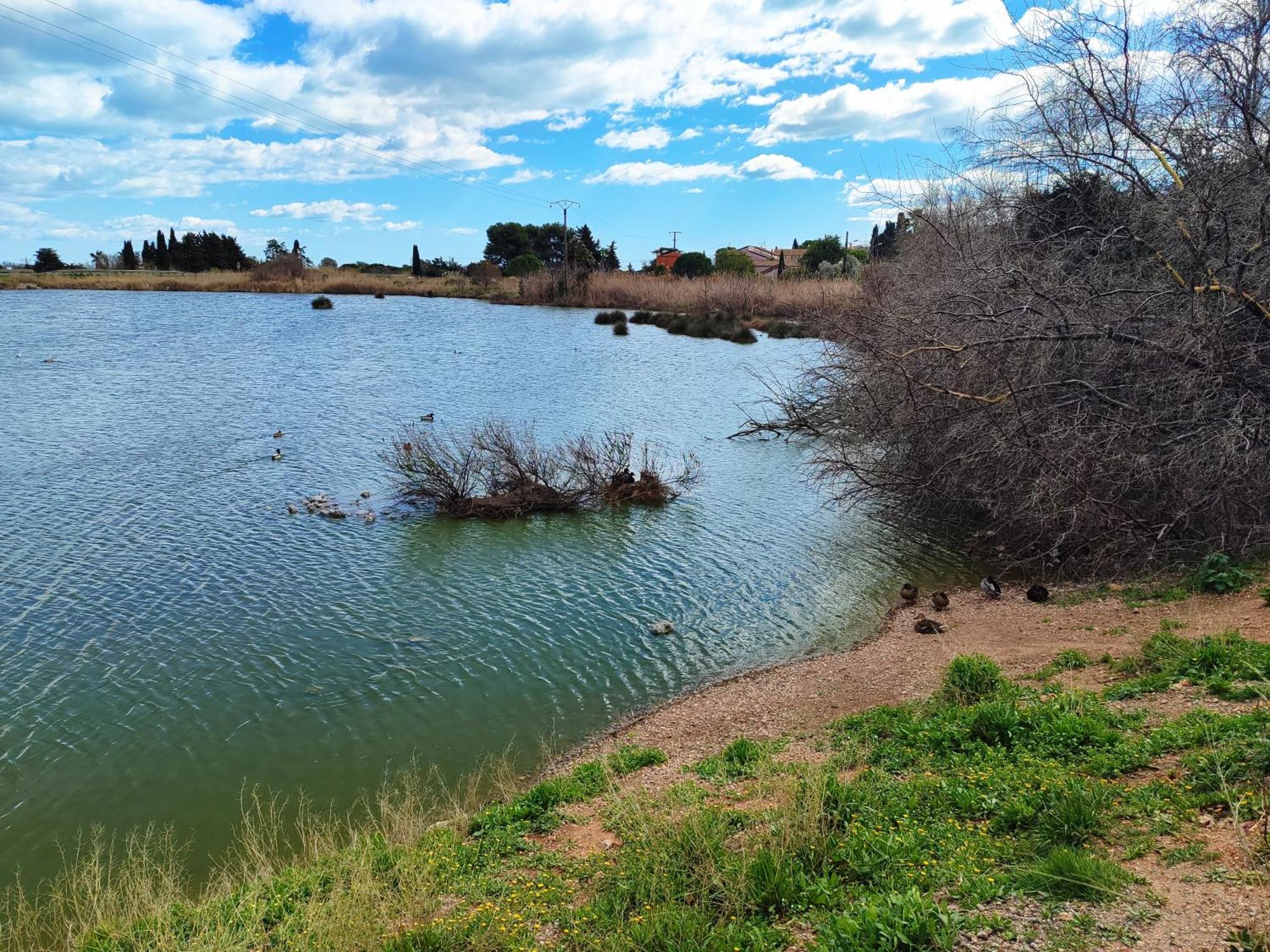 Mobilhome Au Camping Les Salins De La Gardiole Ex Camping Europe Vic-la-Gardiole Esterno foto